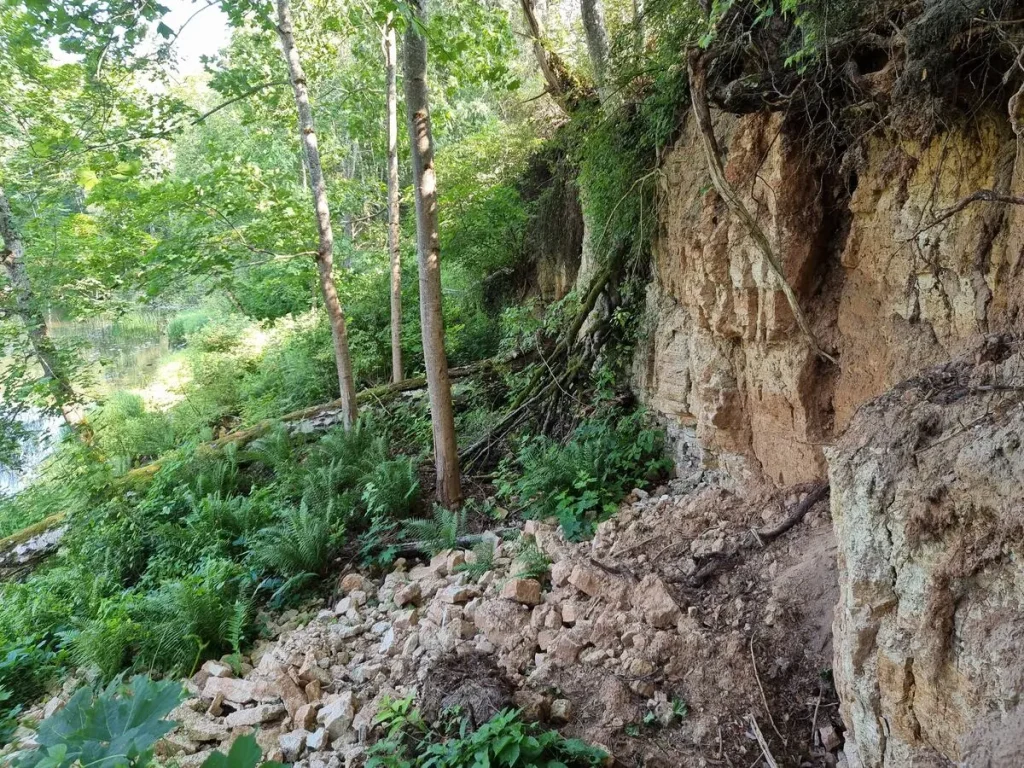 Vidagas atsegumi. 2024. gada jūnijs.