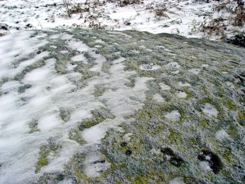 Elekšu bedrīšakmens, bedrītes tuvplānā. 2003. gada janvāris.