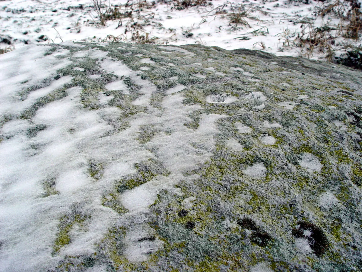 Elekšu bedrīšakmens, bedrītes tuvplānā. 2003. gada janvāris.