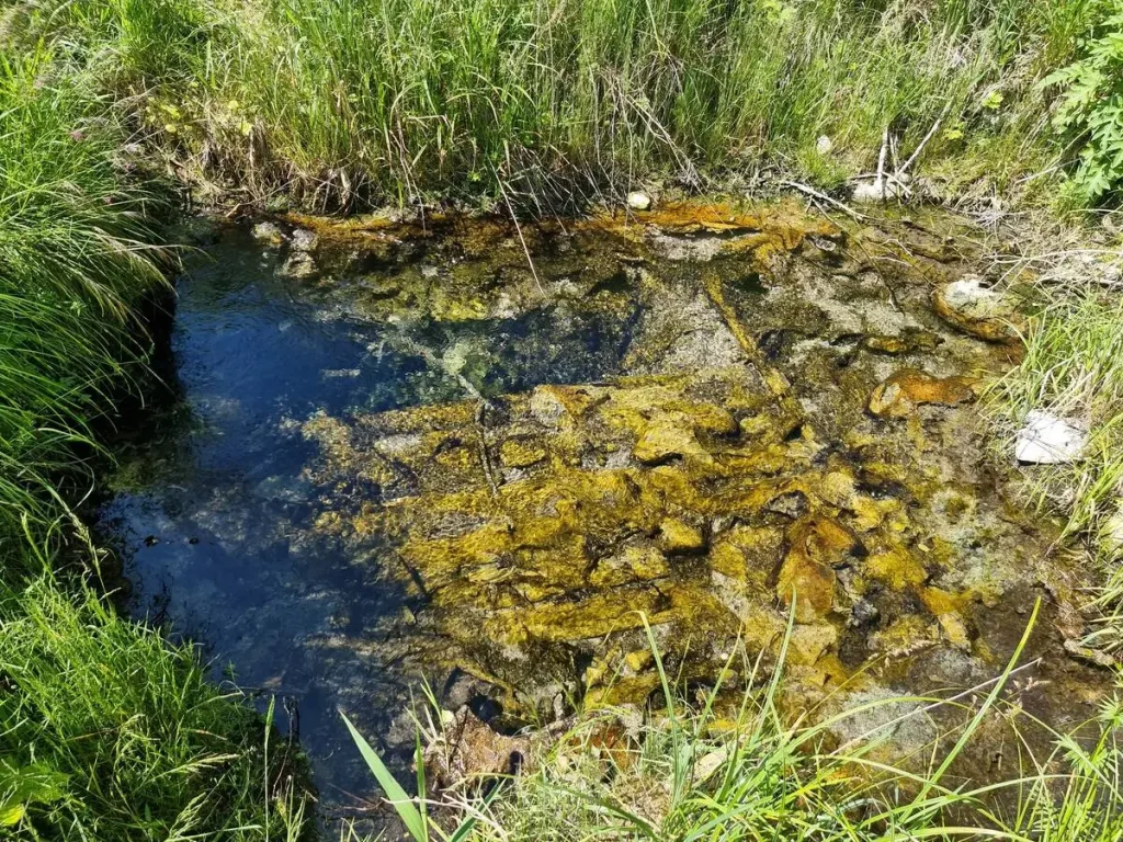 Kalnavēnu avots, redzami veci grodi. 2025. gada jūnijs.