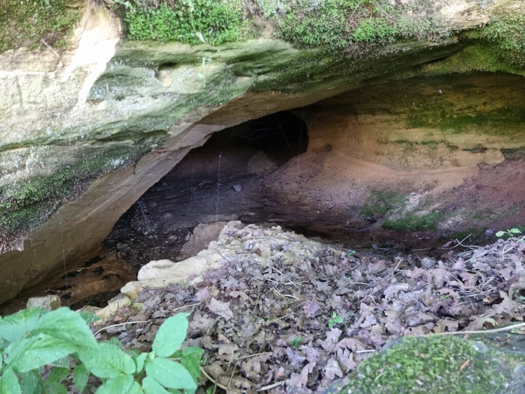 Patiltes ala. 2025. gada jūnijs.