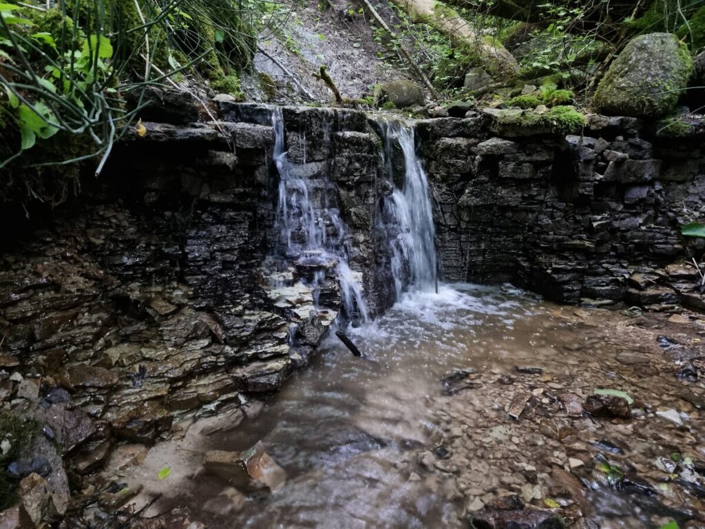 Šķeperu strauta apakšējā ūdenskrituma kāple. 2025. gada jūnijs.
