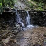 Šķeperu strauta apakšējā ūdenskrituma kāple. 2025. gada jūnijs.