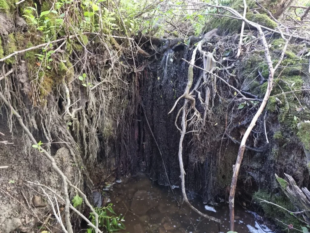 Šķeperu strauta augšējais ūdenskritums. 2025. gada jūnijs.
