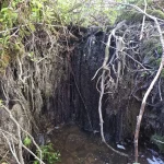 Šķeperu strauta augšējais ūdenskritums. 2025. gada jūnijs.