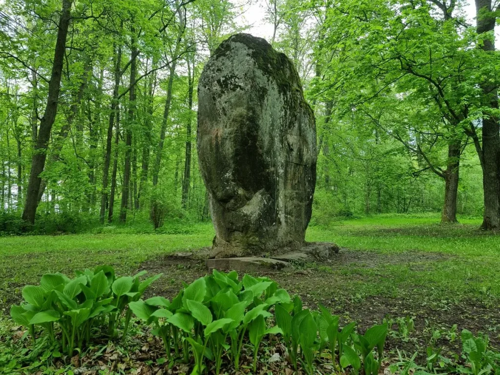 Vadakstes valdnieks - dižakmens Lielezeres parkā. 2025. gada maijs.