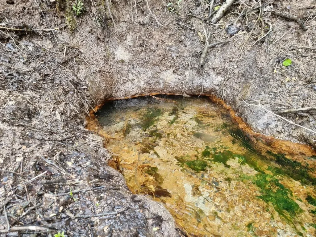 Lielākais Vecmelderu avots. 2025. gada maijs.