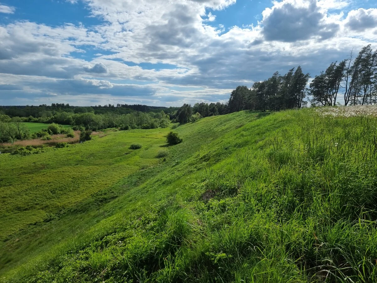 Žagares oss. Kreisajā pusē plūst Svētes upe. 2025. gada maijs.