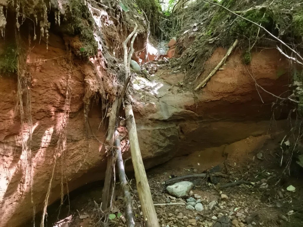 Muižarāju klinšu otrais ūdenskritums. Redzama arī augšējā pakāpe. 2025. gada jūnijs.