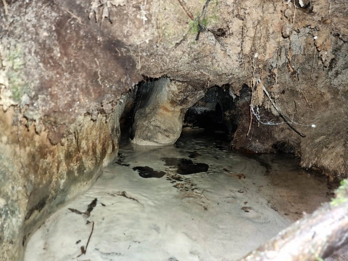 Dukuļu avoti. Aliņa, kuru veido izteka labajā pusē. 2025. gada jūnijs.