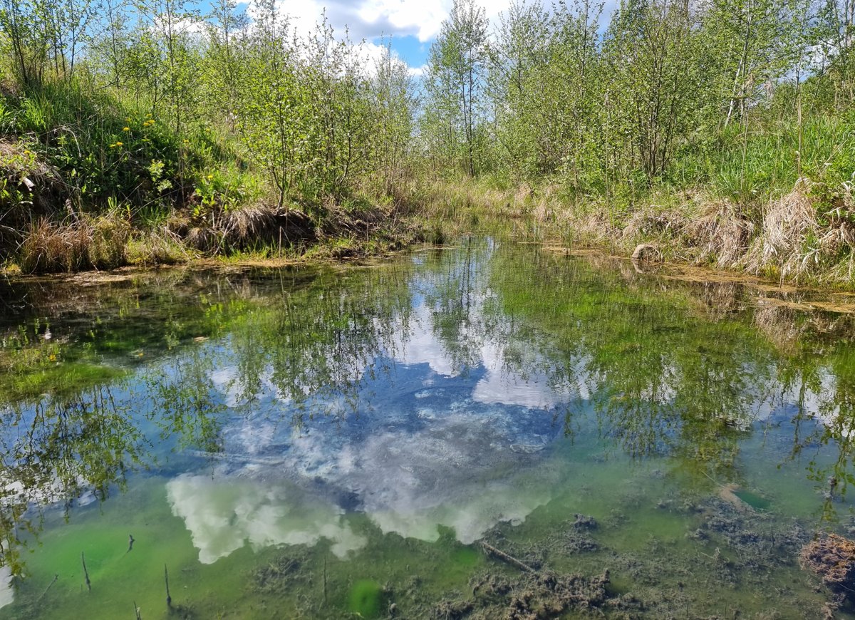 Elkuzemes Zaļā Acs. 2025. gada maijs.