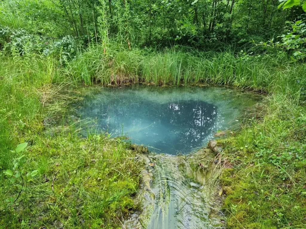 Elkuzemes Zilā Acs. 2025. gada jūlijs.