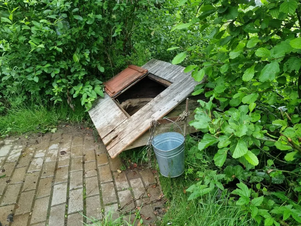 Diždobeļu avots. 2025. gada jūlijs.