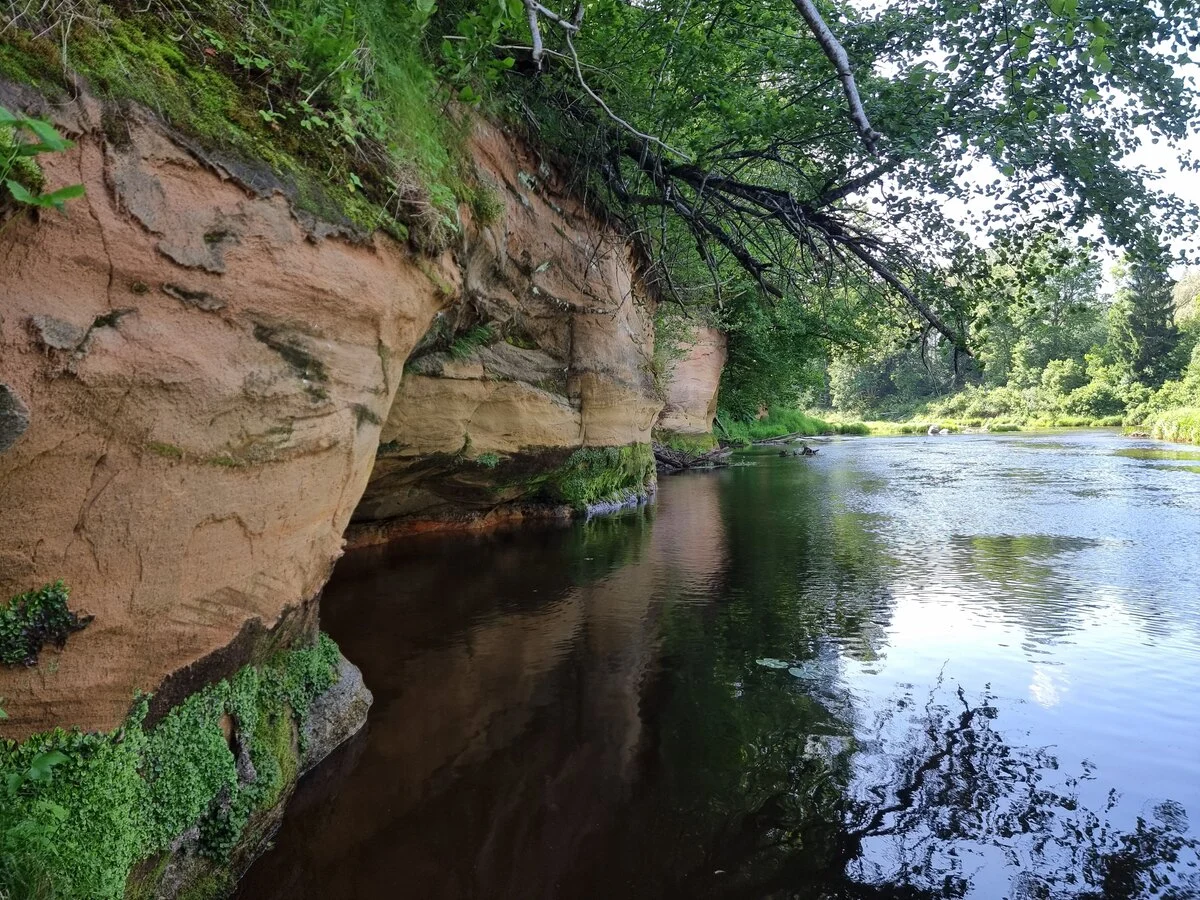 Muižarāju klintis, augšējais posms. 2025. gada jūnijs.