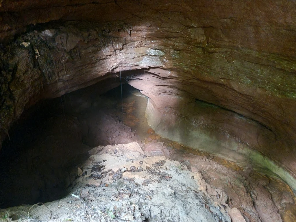 Skaņākalna Avota ala. 2025. gada jūnijs.