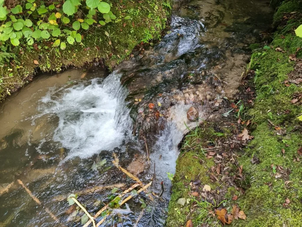 Dzirnupes avotkaļķu krāce. 2025. gada septembris.