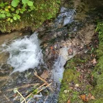 Dzirnupes avotkaļķu krāce. 2025. gada septembris.