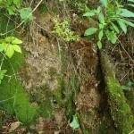 Jaunzemu avota staburags. 2025. gada septembris.