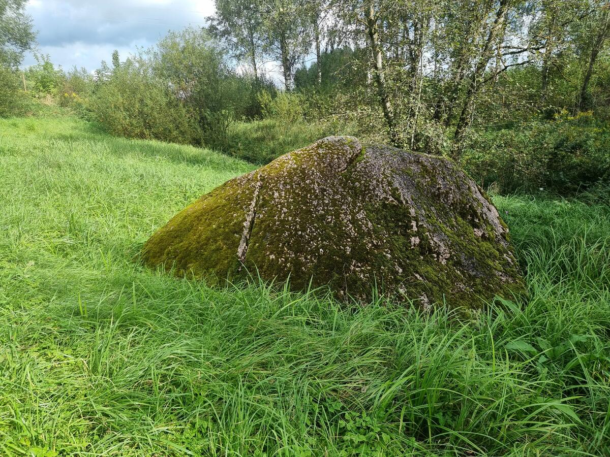 Kraukļu akmens. Redzama akmens sadalīšanai iecirstā rieva. 2025. gada septembris.