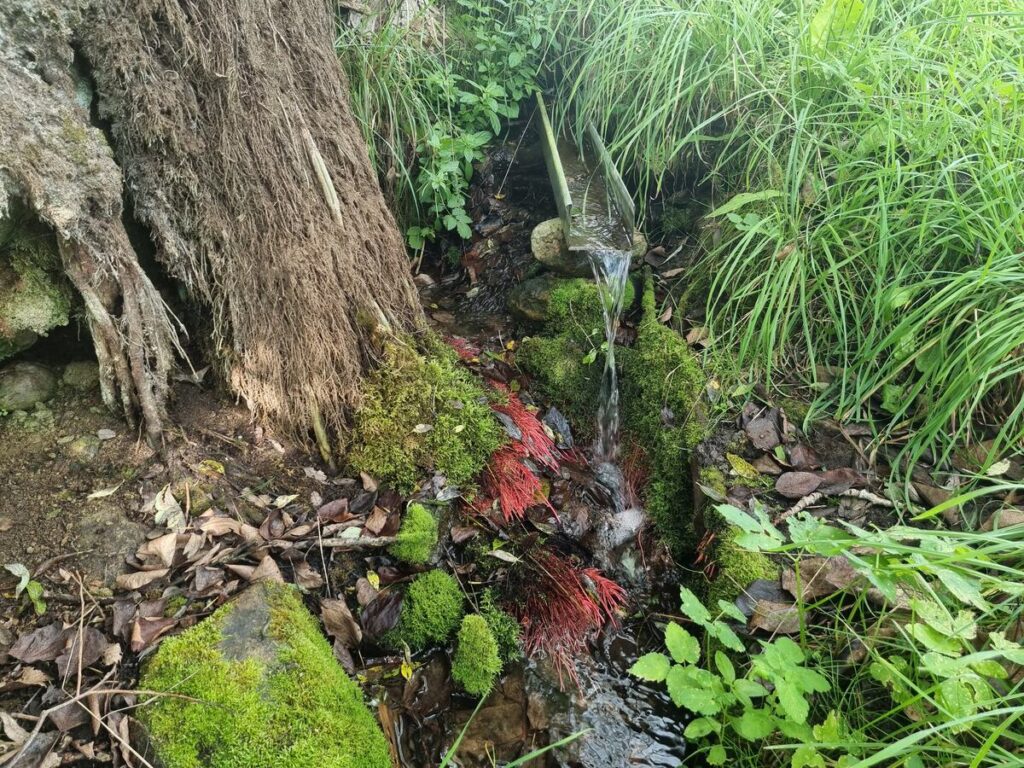 Kraukļakmens avots. 2025. gada septembris.