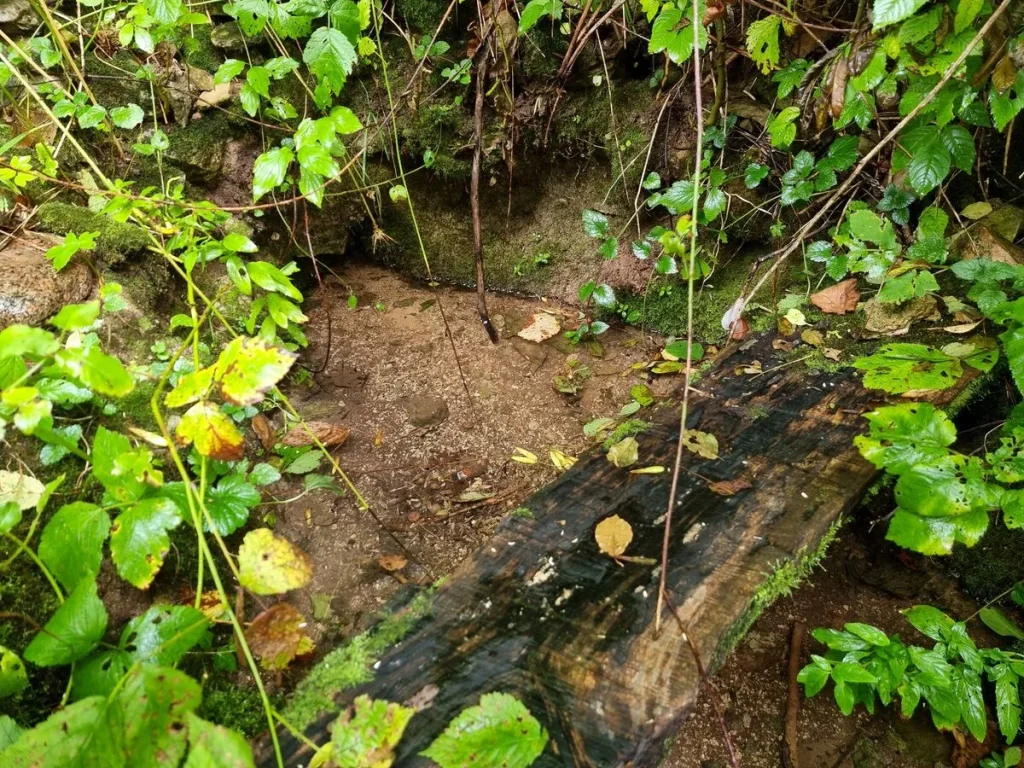 Kuprainīša avotiņš. 2025. gada septembris.