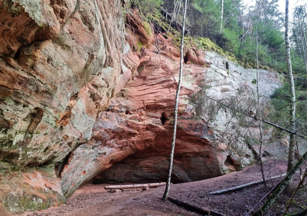 Laņģu niša. 2024. gada novembris.