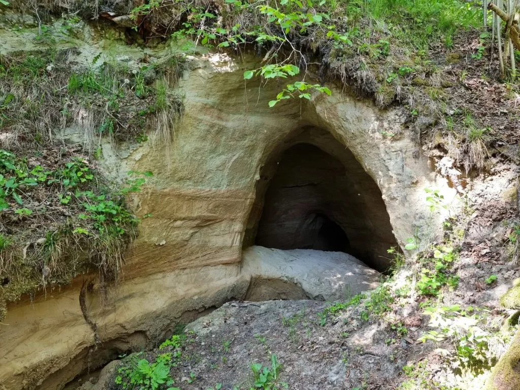 Laupītāju ala. 2023. gada maijs.