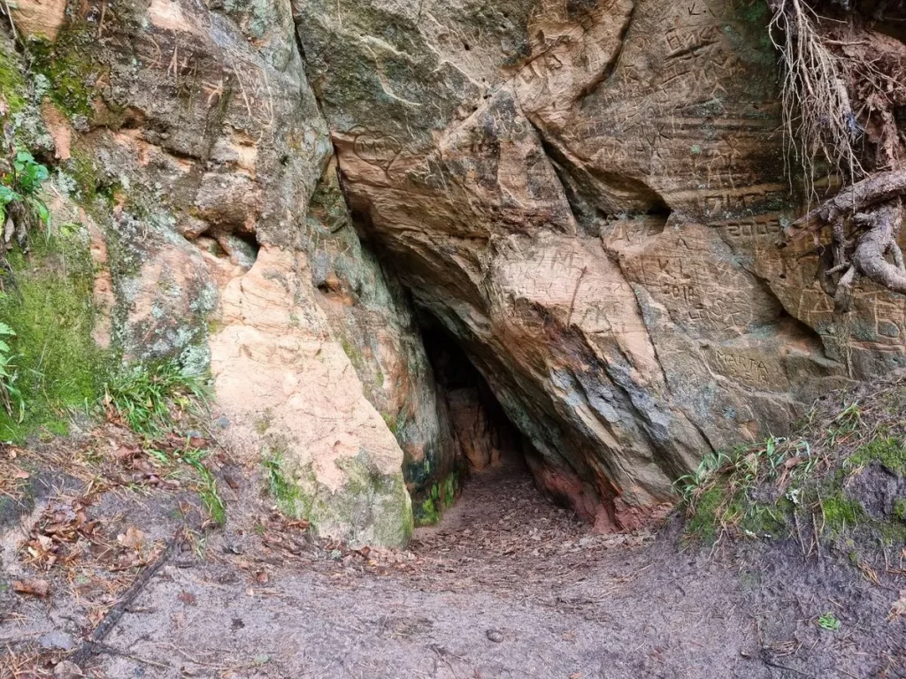 Līču Augšala. 2024. gada novembris.