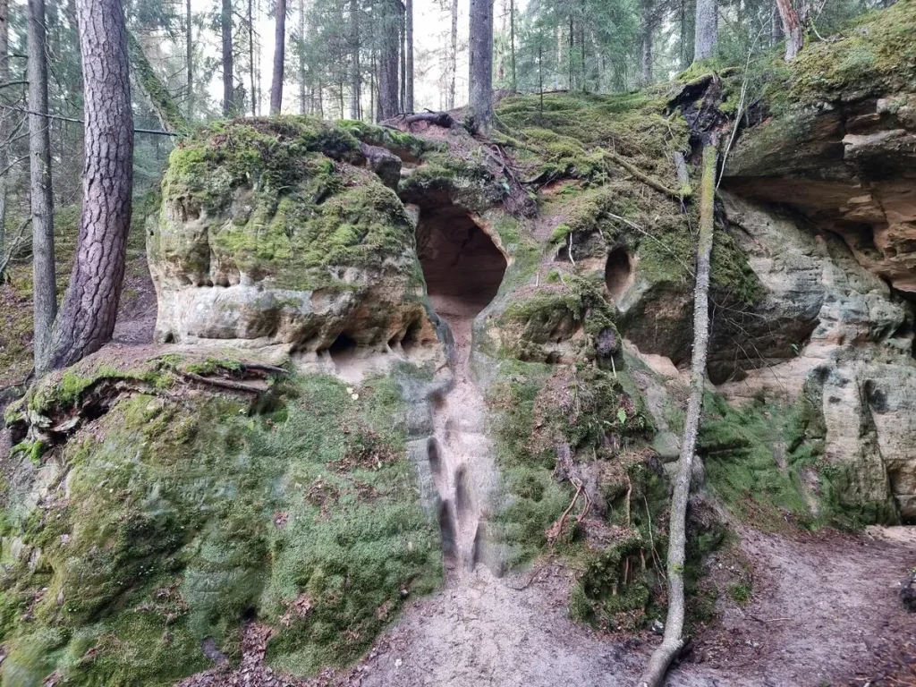 Līču aizas Gaisa ala. 2024. gada novembris.