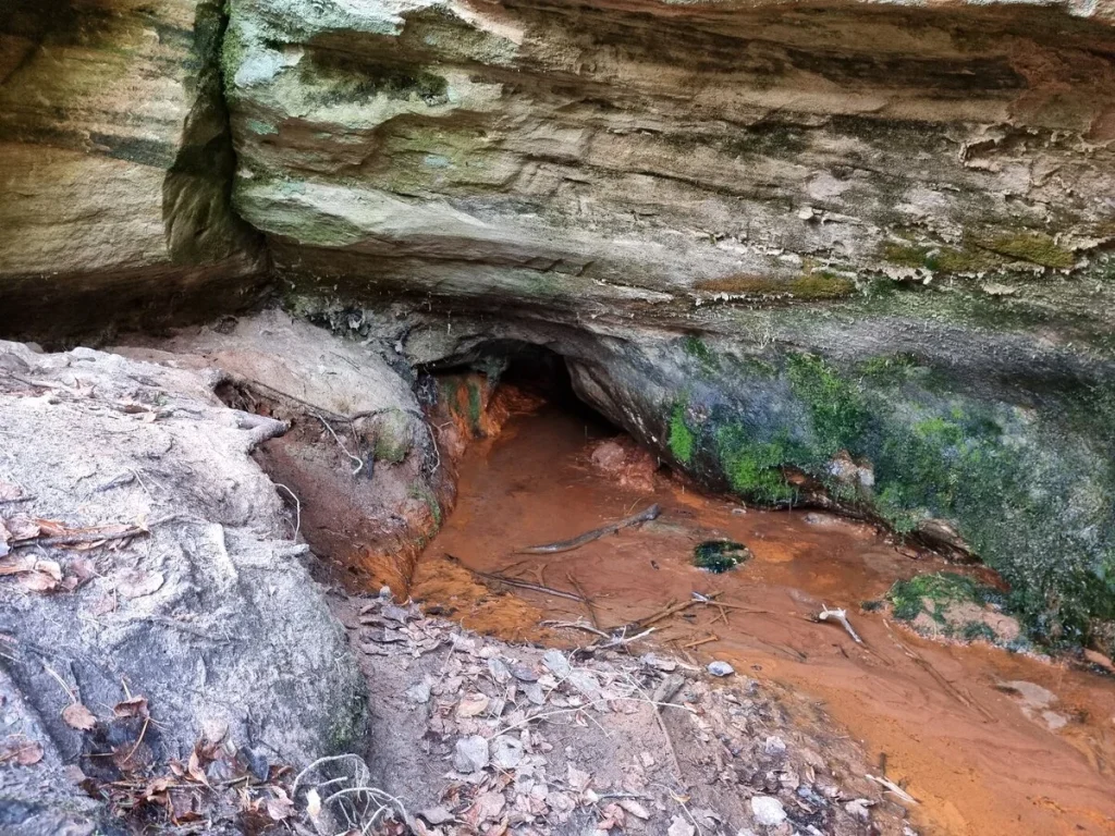 Līču Lejasala un no tās izplūstošais avots. 2024. gada novembris.