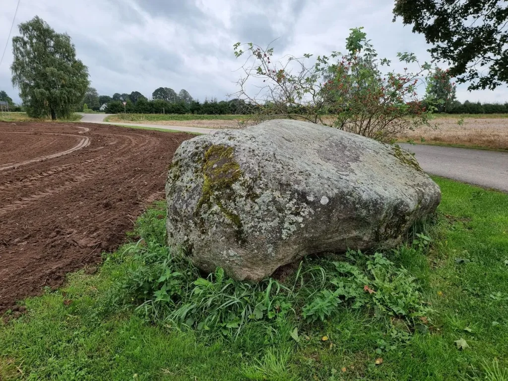 Ventkalnu bedrīšakmens. 2025. gada septembris.