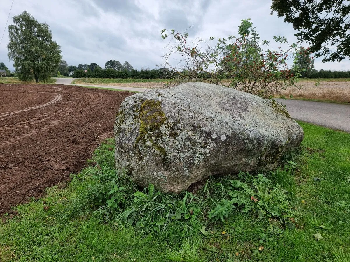 Ventkalnu bedrīšakmens. 2025. gada septembris.