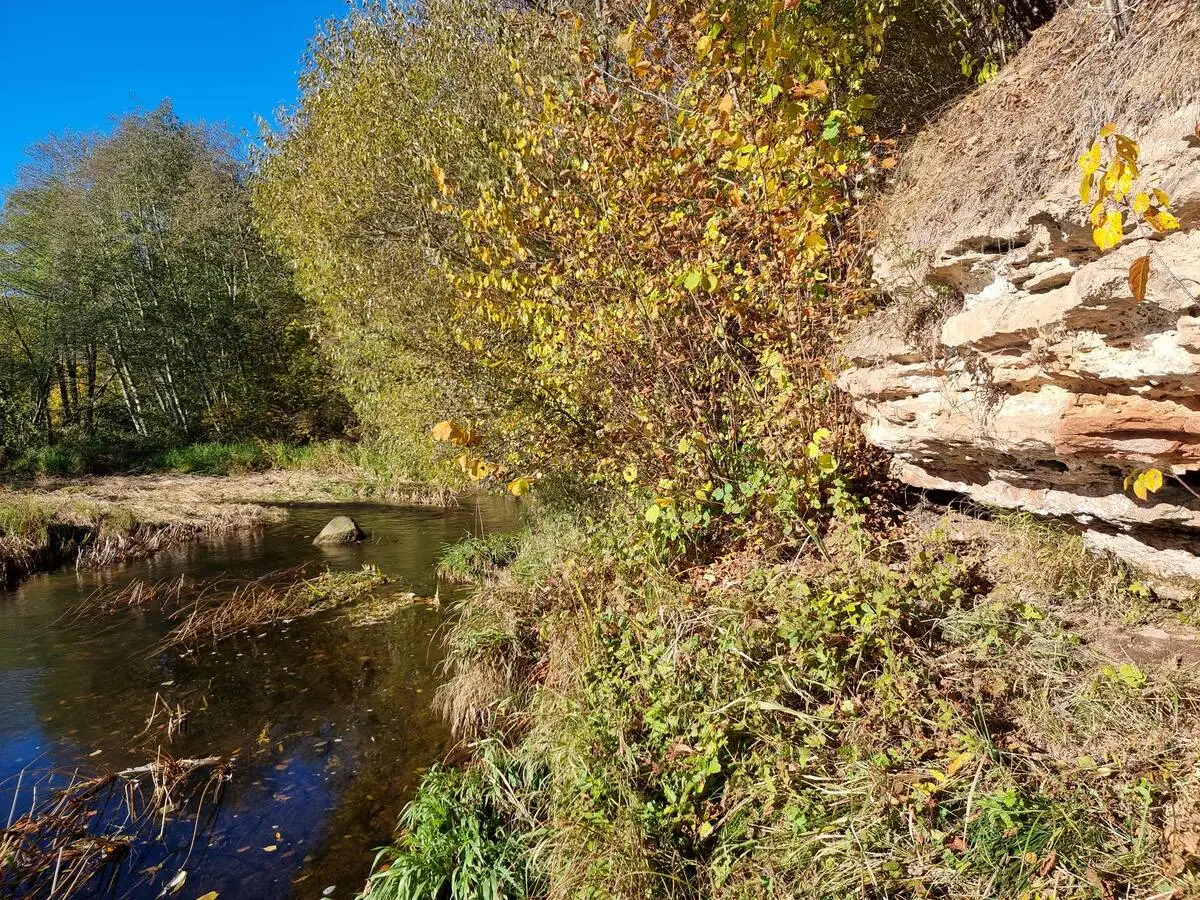 Svētes atsegums pie Cielaviņām. 2025. gada oktobris.