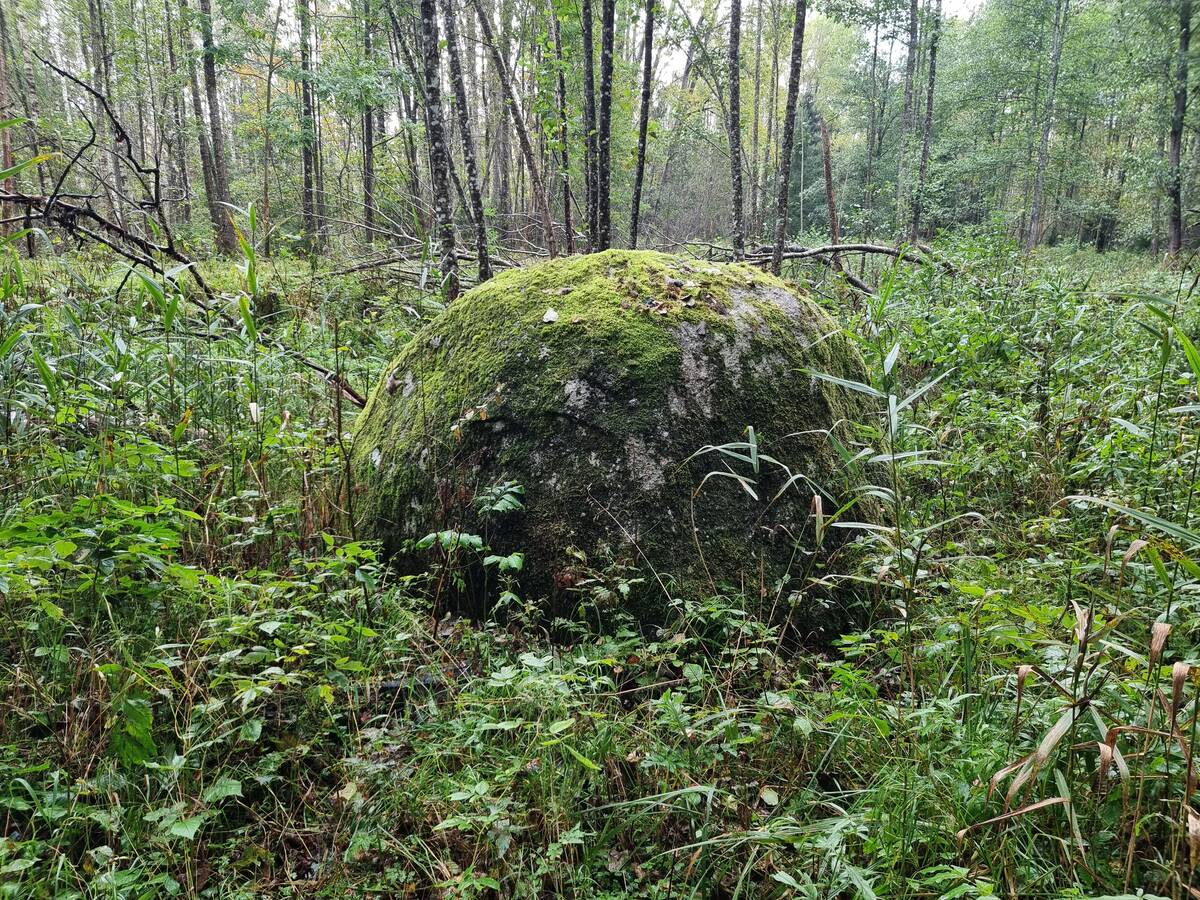 Ķemeru Lielais akmens. 2025. gada oktobris.