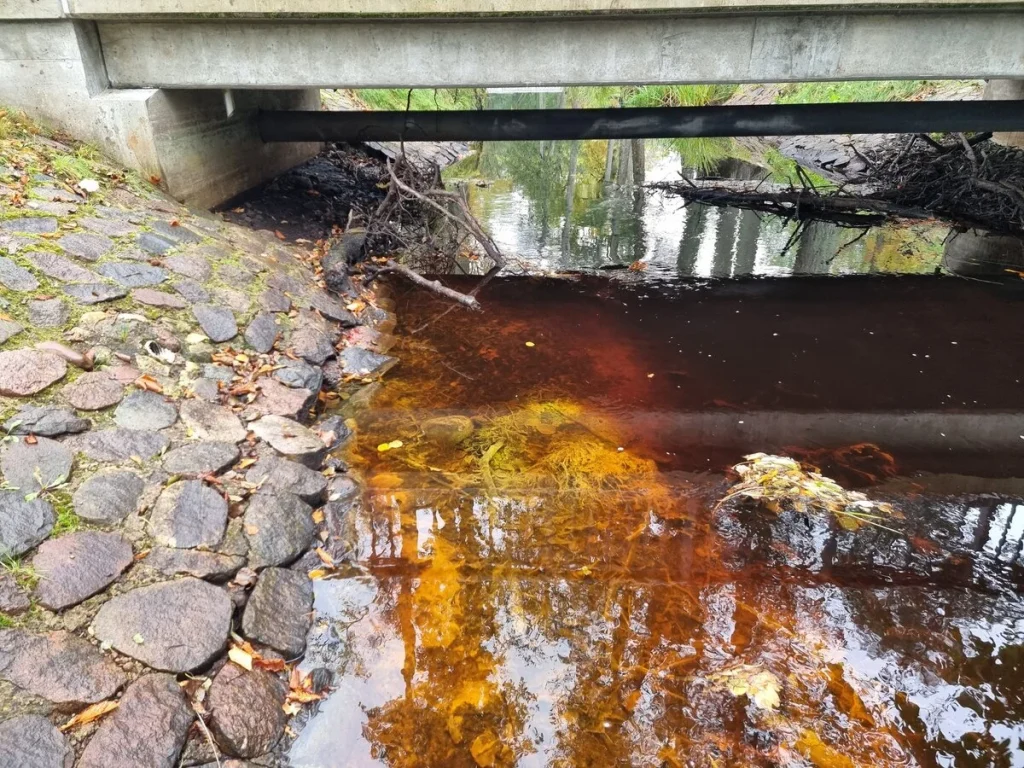 Ķemeru ūdenstorņa tiltiņa avots. 2025. gada oktobris.