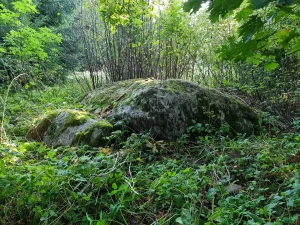 Luknes 1. bedrīšakmens. 2025. gada oktobris.