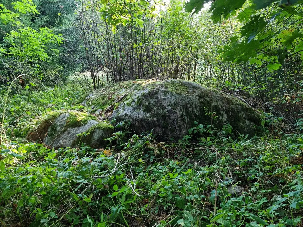 Luknes 1. bedrīšakmens. 2025. gada oktobris.