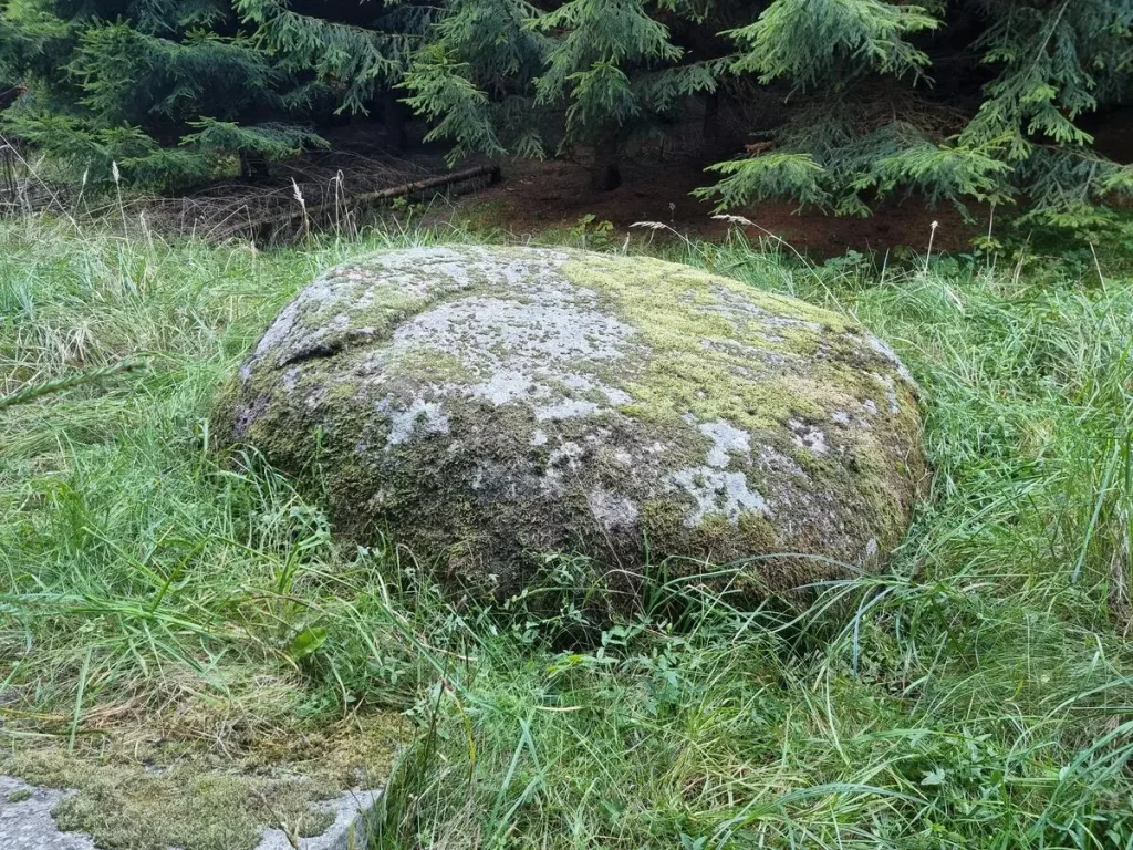 Luknes 2. bedrīšakmens. 2025. gada oktobris. / Gatis Pāvils, CC BY-SA 4.0