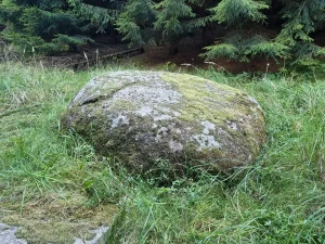 Luknes 2. bedrīšakmens. 2025. gada oktobris. / Gatis Pāvils, CC BY-SA 4.0