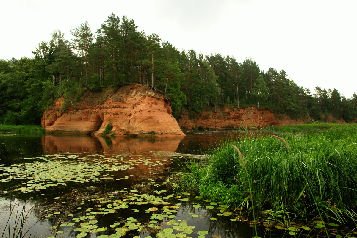 Pietraga Sarkanās klintis, priekšplānā - Pietrags. 2007. gada jūlijs.