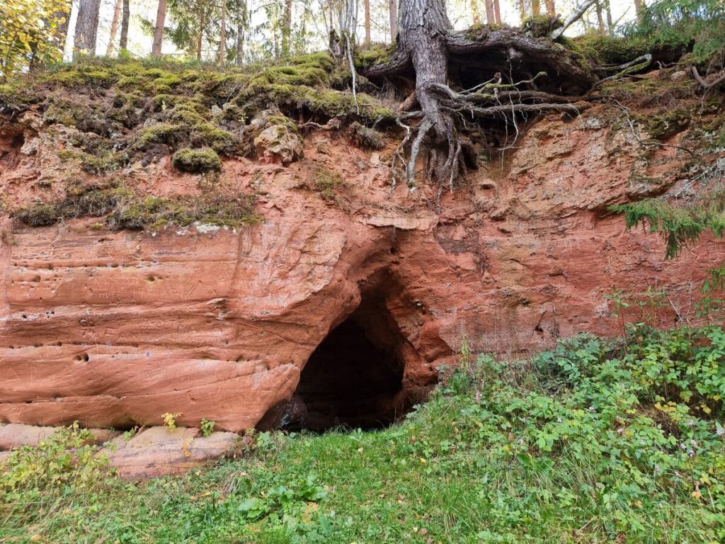 Rostu ala. 2025. gada oktobris.