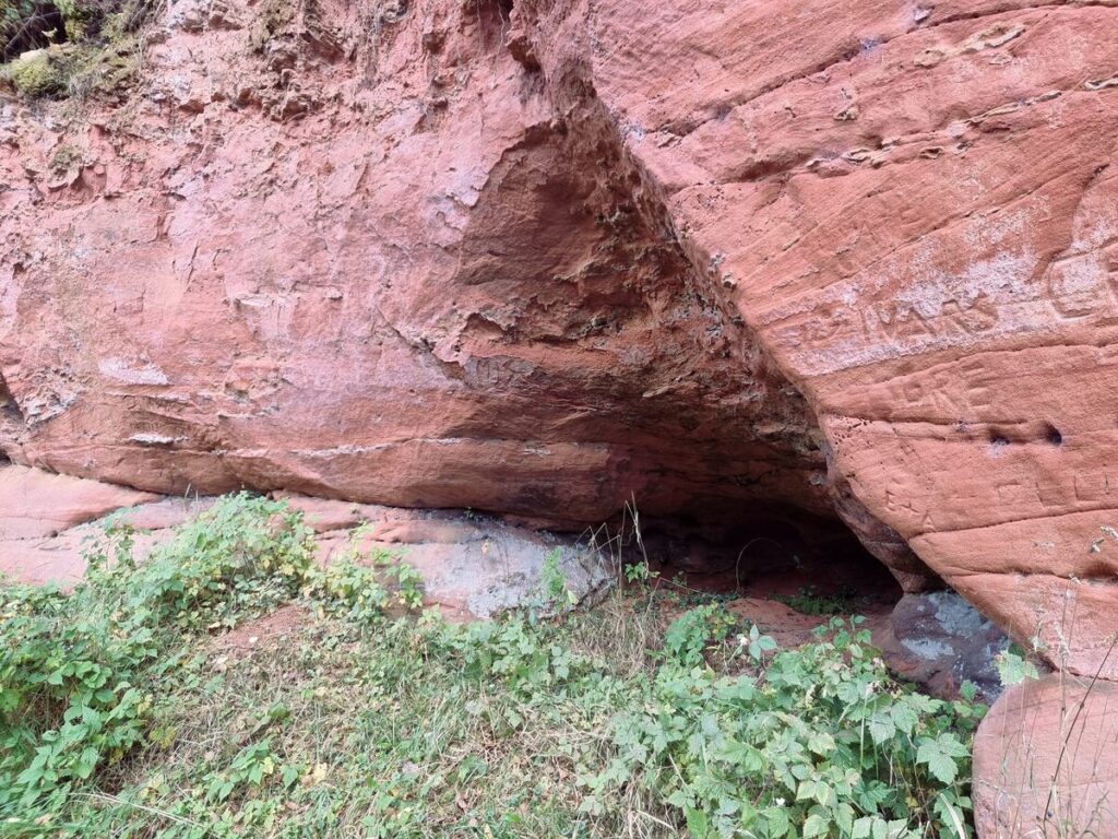 Rostu niša. 2025. gada oktobris.