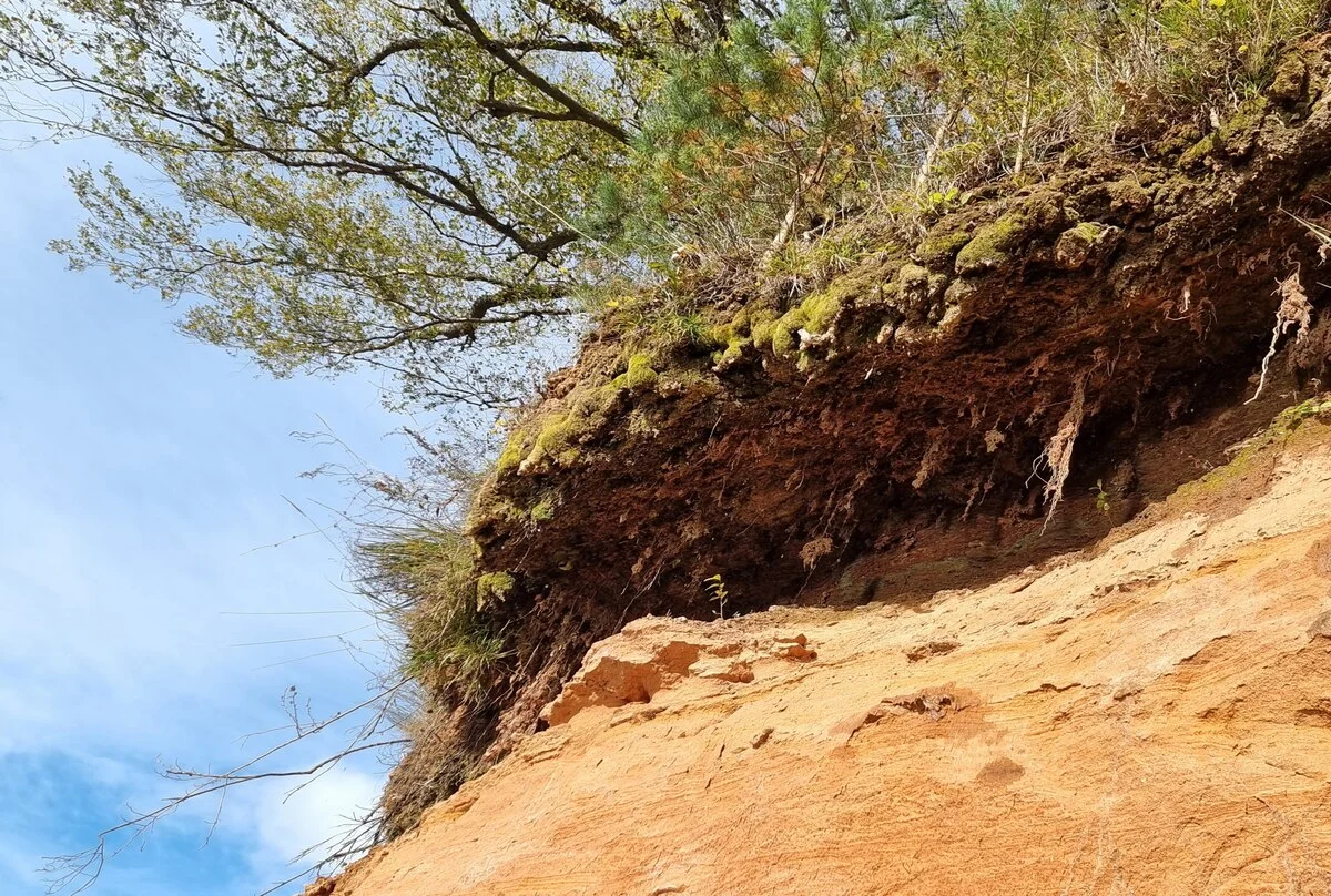 Pietraga Sarkano klinšu staburags. 2025. gada oktobris.
