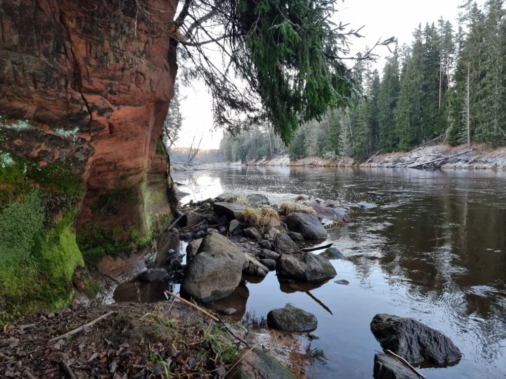 Briedīšu iezis. 2025. gada novembris.