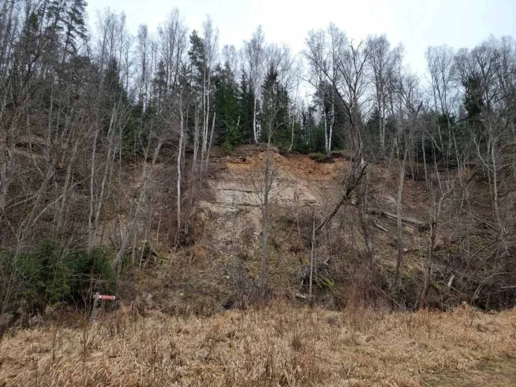 Dambja iezis. 2024. gada decembris.