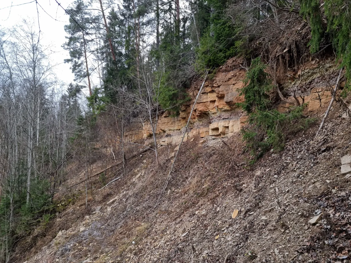 Īļaku iezis. 2024. gada decembris.