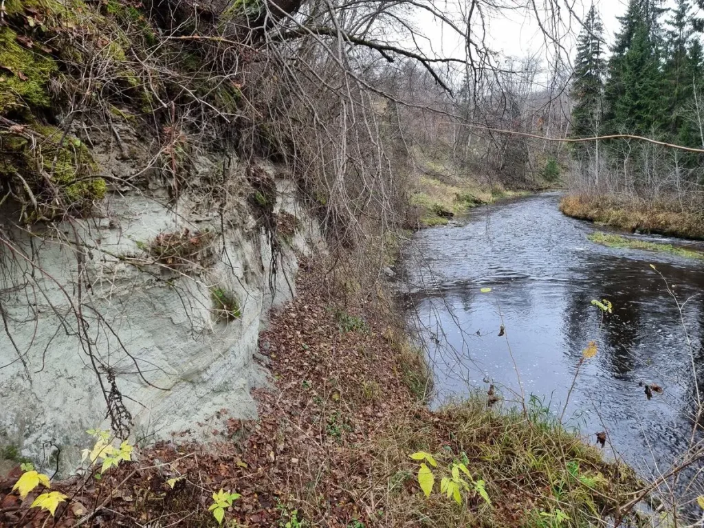 Melturu ieža apakšējā daļa - Amatas svītas dolomītsmilšakmens. 2025. gada novembris.