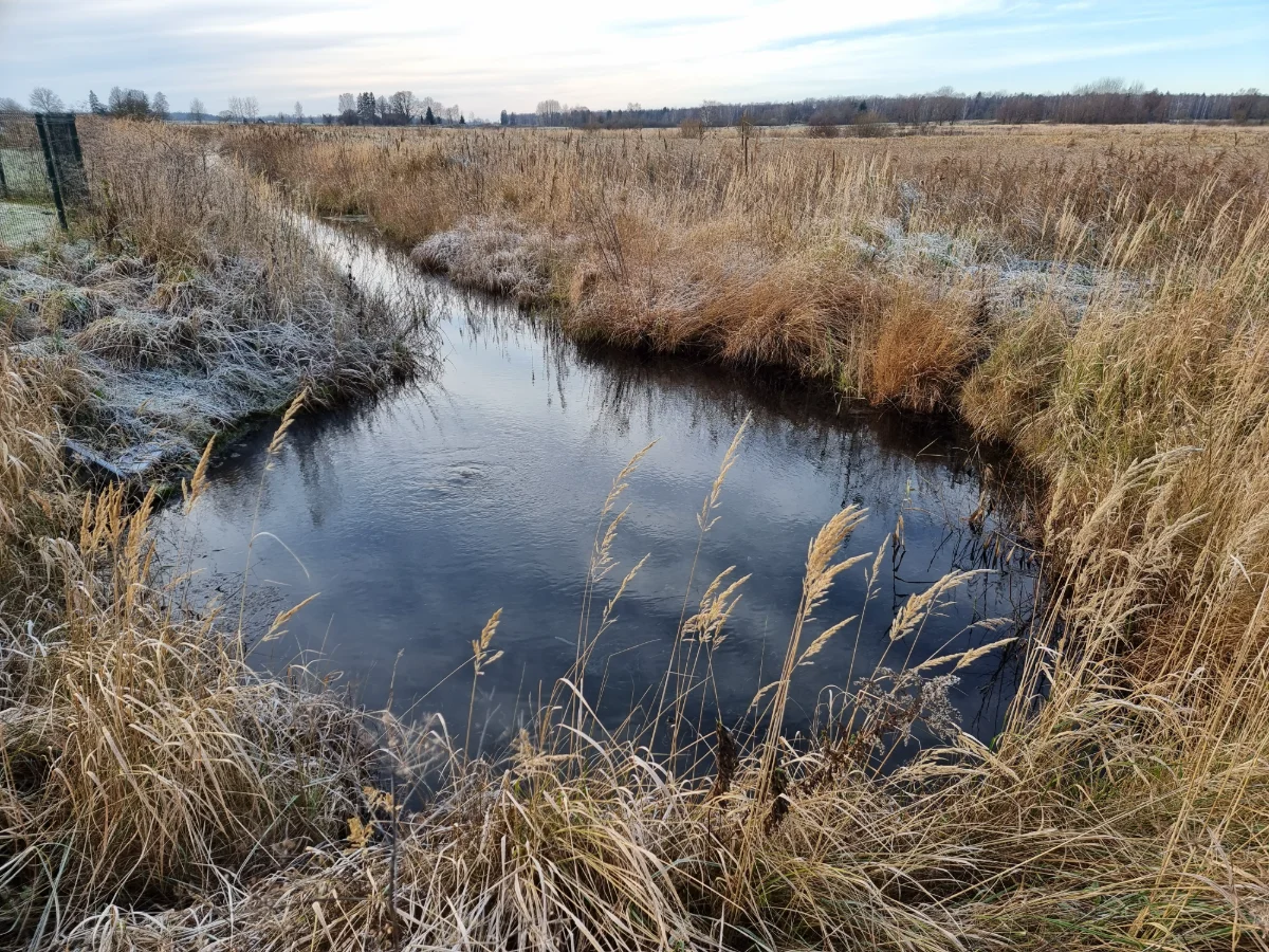 Nīzeres sēravots. 2025. gada novembris.