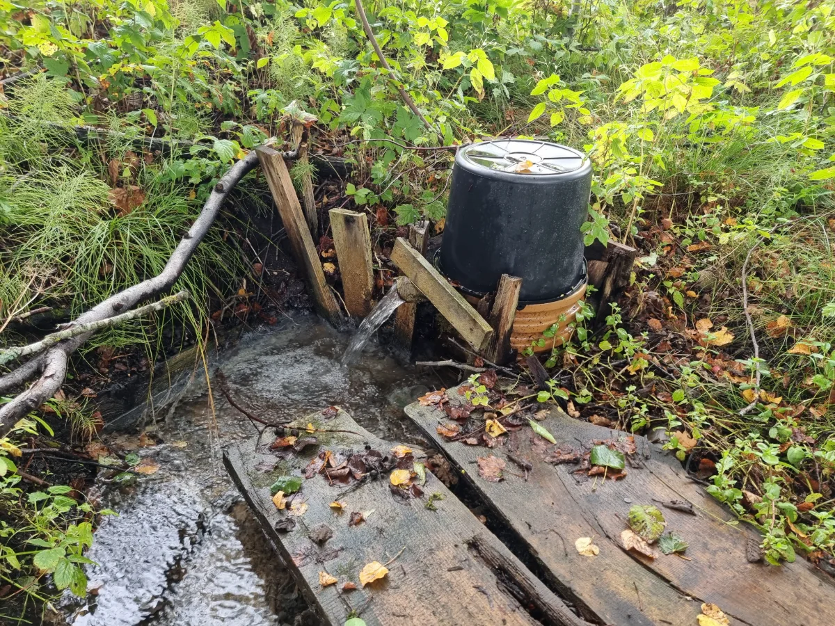 Sēravotu veselības avots. 2025. gada septembris.