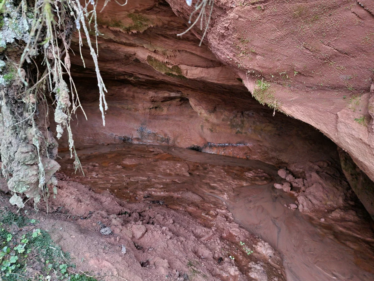 Vecupes ieža niša. 2025. gada novembris.